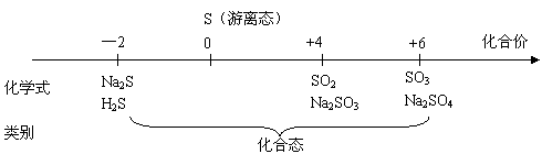 物质的分类教案设计