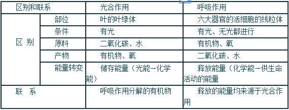 绿色植物与生物圈中的碳（图）