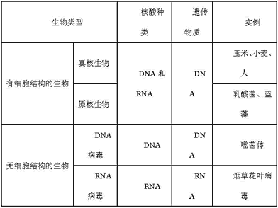高考生物辅导： 高考生物易错笔记整理（5）