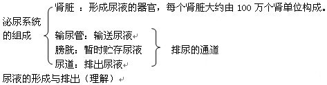 初三生物知识点（4）