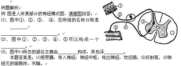 初三生物知识点（4）