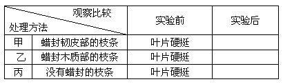 茎对营养物质的运输和贮藏教案设计