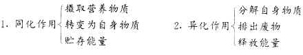 新陈代谢教案设计