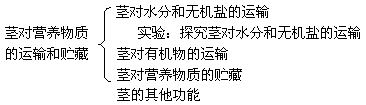 茎对营养物质的运输和贮藏教案设计