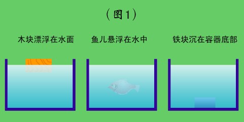 初中物理浸入液体中的物体受到浮力实验